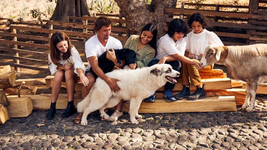 A group of four sits on rough timber; one adult holds a lamb and pets a large white dog, while a child feeds another sheep.