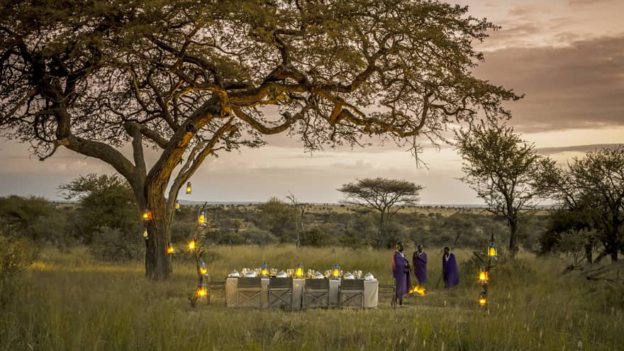 Lanterns line tree, dining table beside three people in Serengeti field