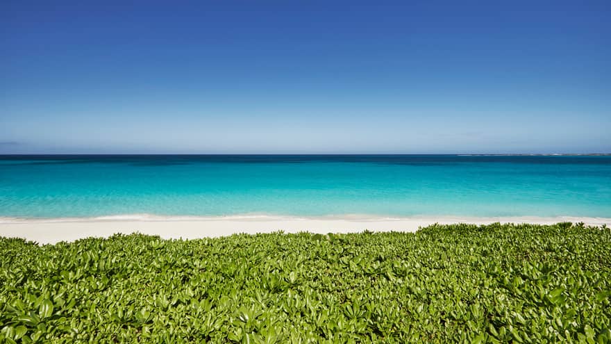 Greenery leading to private white sand beach, turquoise ocean under clear blue sky