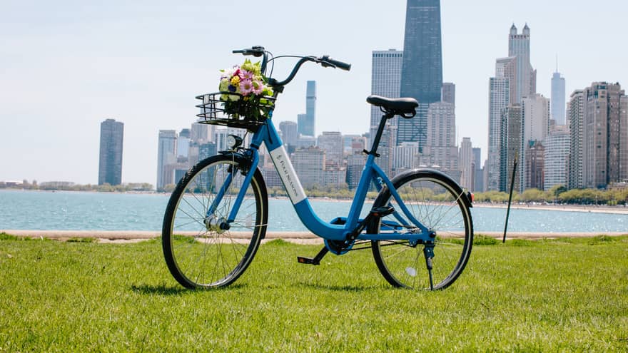 A bike on grass with water and a city in the background.