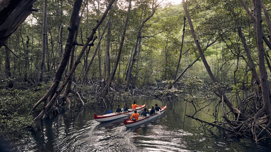 Two groups in canoes explore the Costa Rican jungle