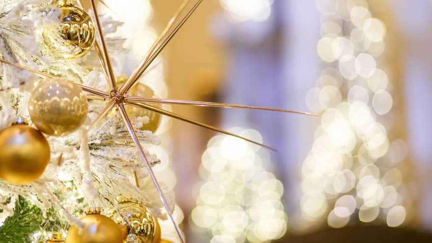 Close up of gold Christmas ornaments in the shape of a sphere and needles.
