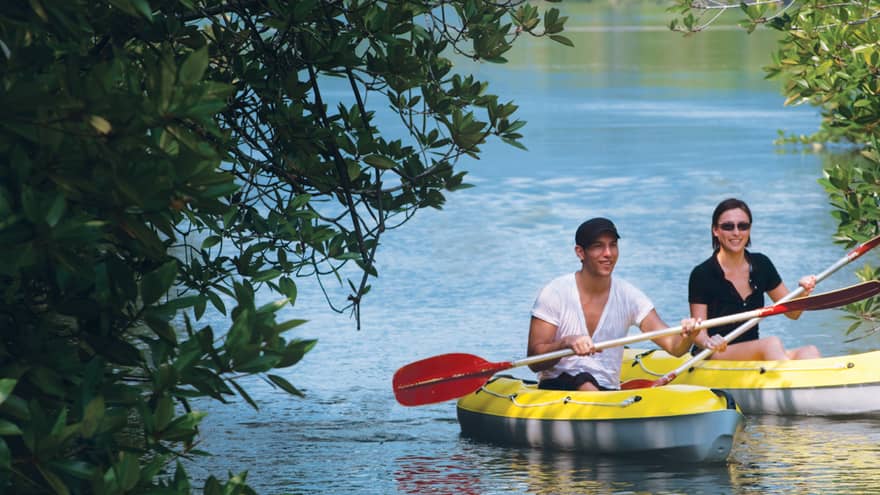 Two people with paddles in yellow kayaks pass through trees on water 