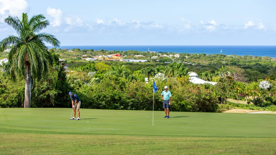 Two people golding on a well groomed golf course surrounded by palm trees.