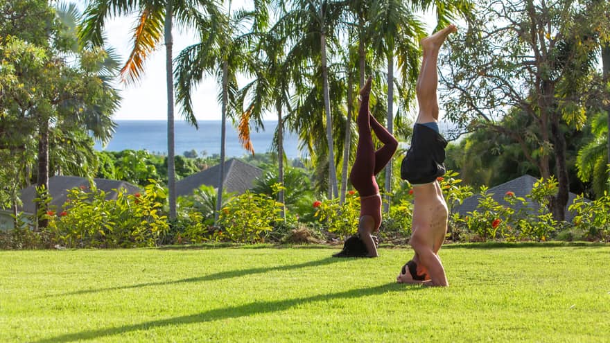 Two people doing yoga poses outside on the grass surrounded by palm trees.