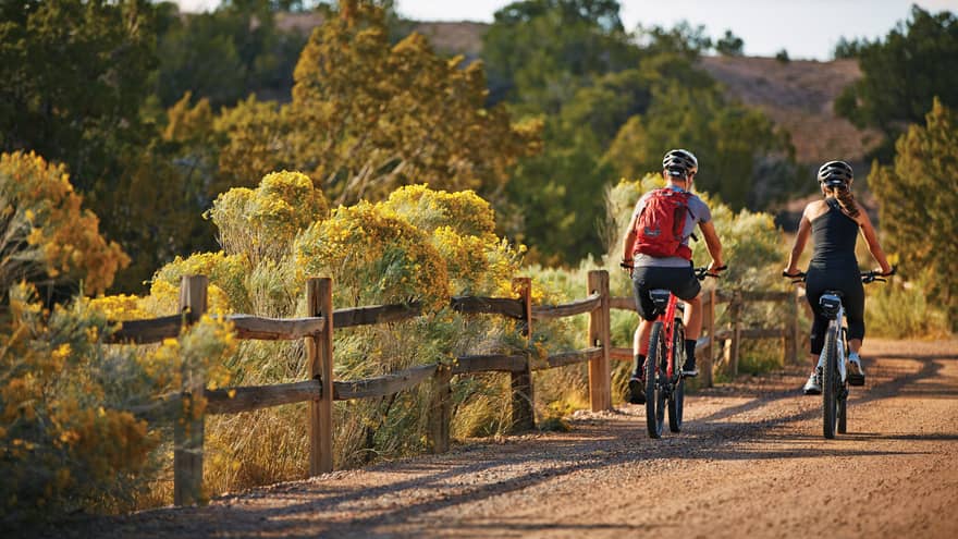 Back of two cyclists riding on desert path past bushes