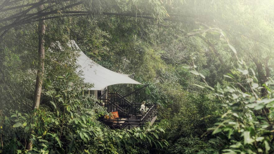 Woman stands on treetop terrace patio, surrounded by tropical forest
