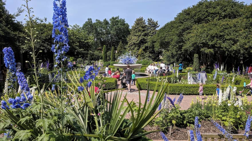 A park with many purple and white flowers and large green trees.