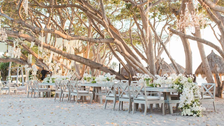 Banquet tables decorated with large white floral centerpieces on a beach underneath large trees