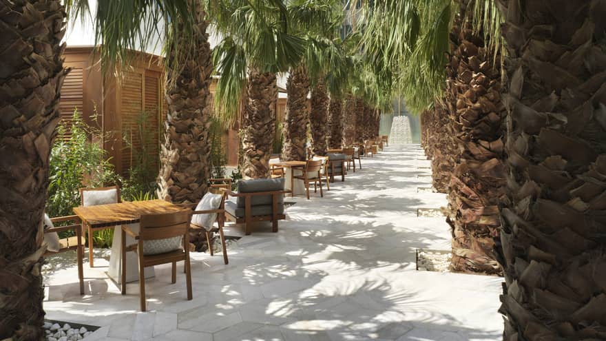 Chairs and tables set up down the sidewalk beneath palm trees. 