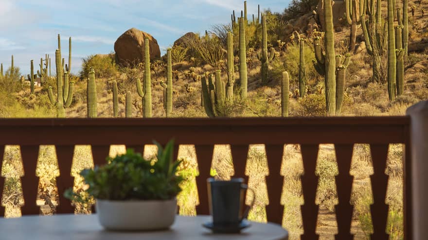 Desert view with cactus from a private balcony of hotel suite