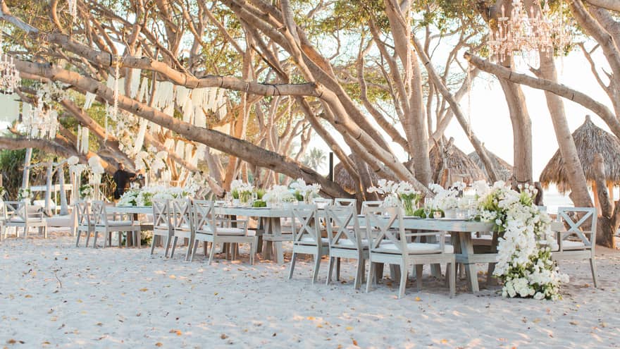 Banquet tables decorated with large white floral centerpieces on a beach underneath large trees
