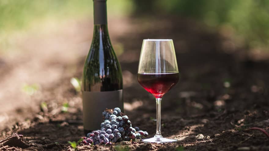 A dark wine bottle resting on soil between rows of vines, aside a glass of berry-coloured wine and a cluster of grapes. 