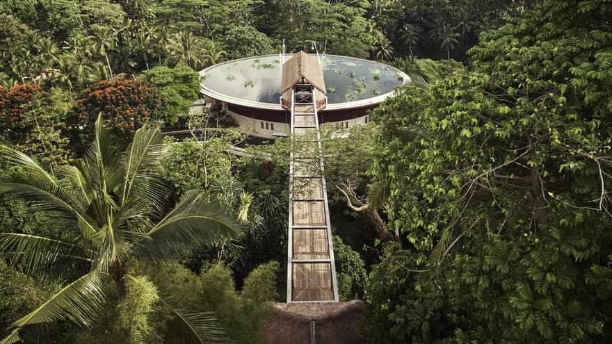 Aerial view of large water-filled lotus pond rooftop pool surrounded by lush palms and forest, long wood footbridge