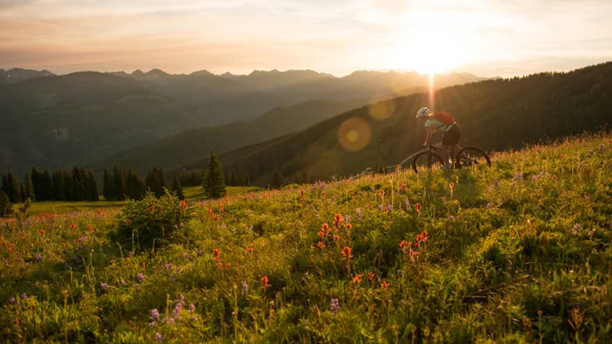 Sun sets over mountain meadow