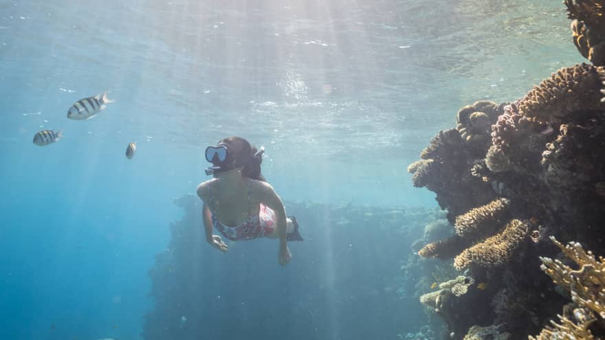 Woman in pink bathing suit snorkels among colourful fish and coral reefs, sunlight streaming through the water's surface