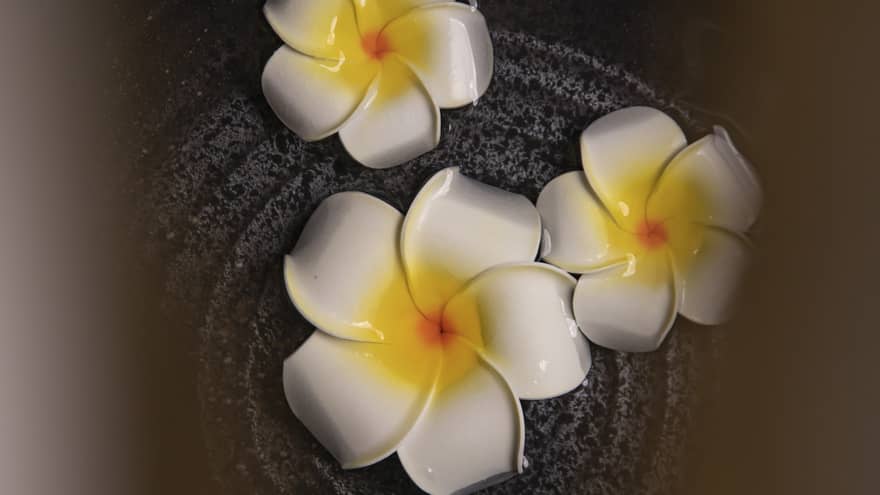 Three flowers in bowl at luxury hotel spa