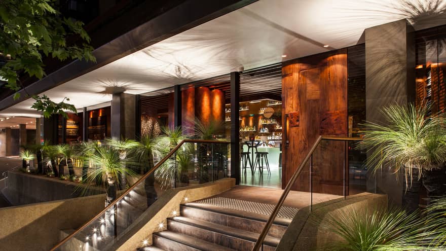 Stairs with lights leading up to Grain entrance at night, tropical plants
