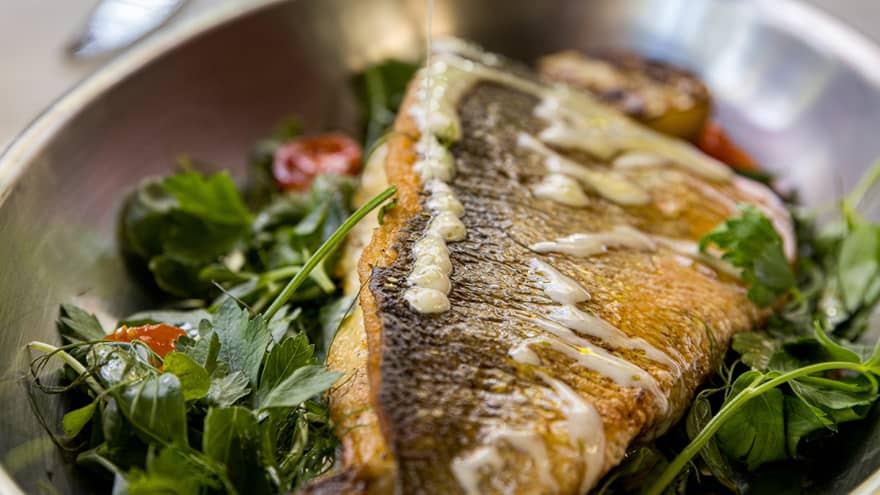 Filet of fish plated atop a bed of greens