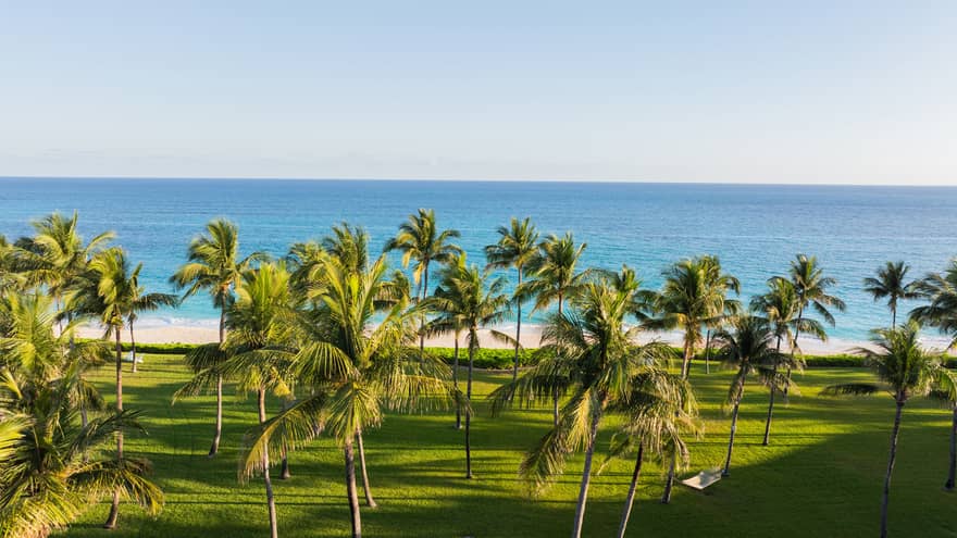 Manicured green lawn dotted with palm trees and set along a beach with the blue ocean in the background