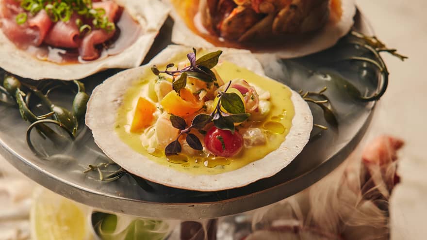 An assortment of seafood on white plates.