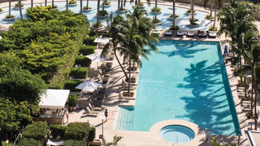 Aerial view of two outdoor pools surrounded by palm trees.