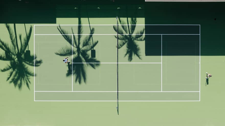 Aerial view of a green tennis court shaded by palm trees