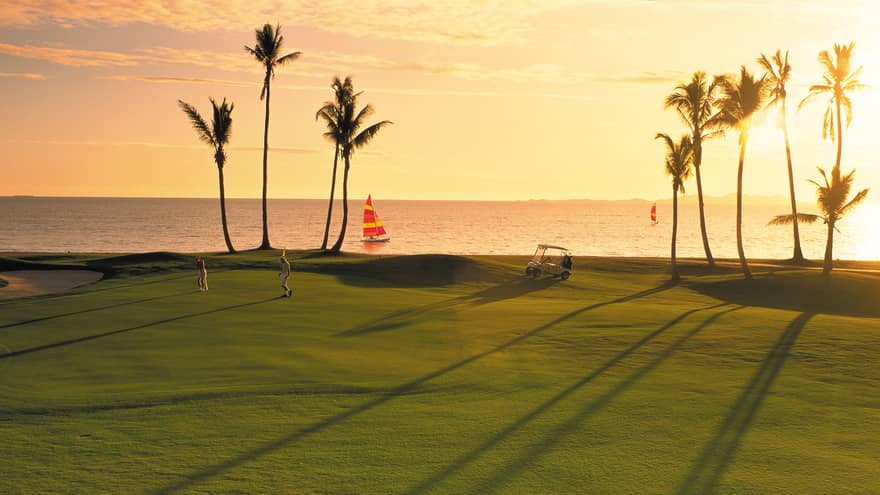 Silhouettes of tall, slim palm trees on golf course, sunset and ocean
