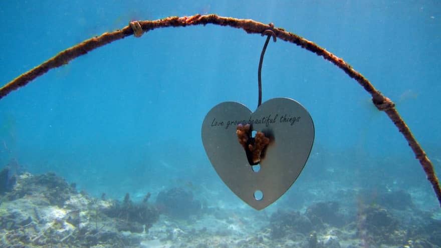 Underwater view of a heart-shaped metal frame with piece of coral, words "love grows beautiful things."