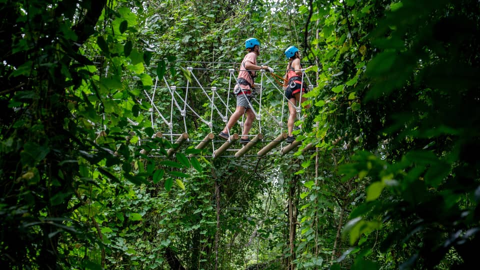 Two people wearing blue helmets walking through a thick treeline on an aerial ropes course