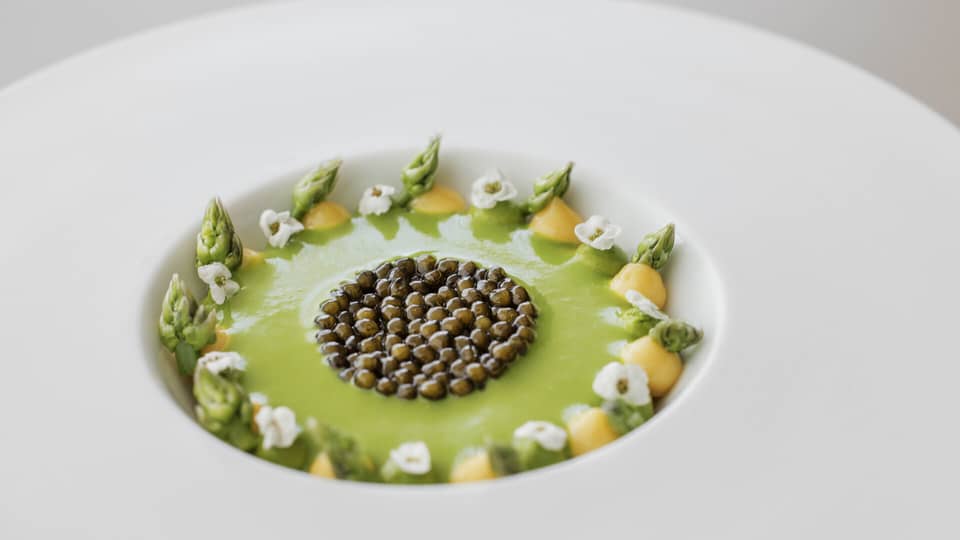 Caviar served over a green sauce in a bowl lined with dots of yellow sauce, asparagus and floral garnishes