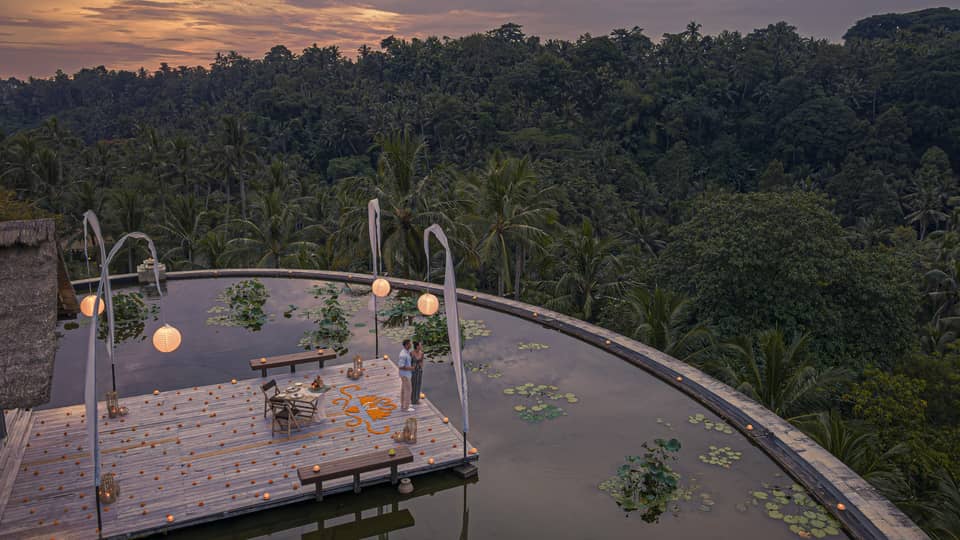 Couple stands on dock at the infinity edge lotus pond overlooking dense forest at dusk