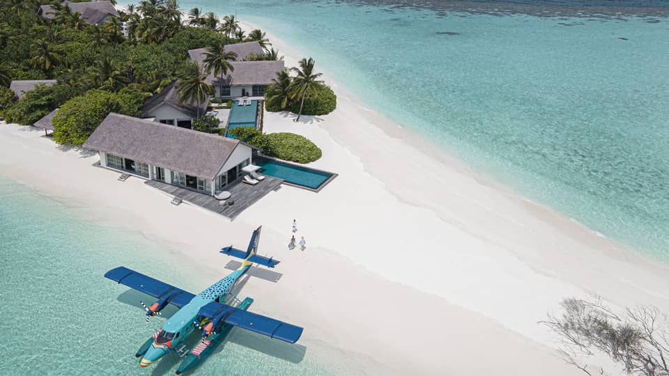 FS Voavah Flying Trigger Fish Arrival