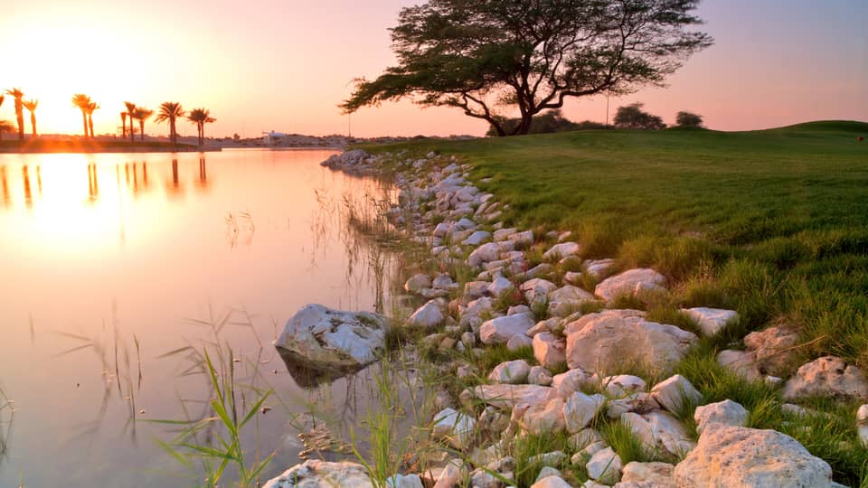 A rocky bank with several small trees lining it.