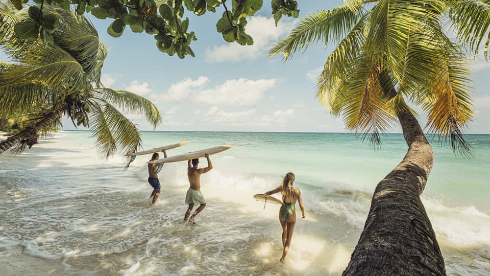 Palm trees extend over waves rushing a sandy beach, as a group of surfers with their boards bound toward the turquoise sea. 