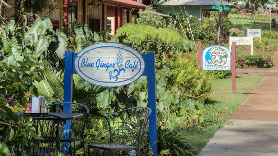 Garden patio table under Blue Ginger Cafe sign, path leading to more cafes and shops