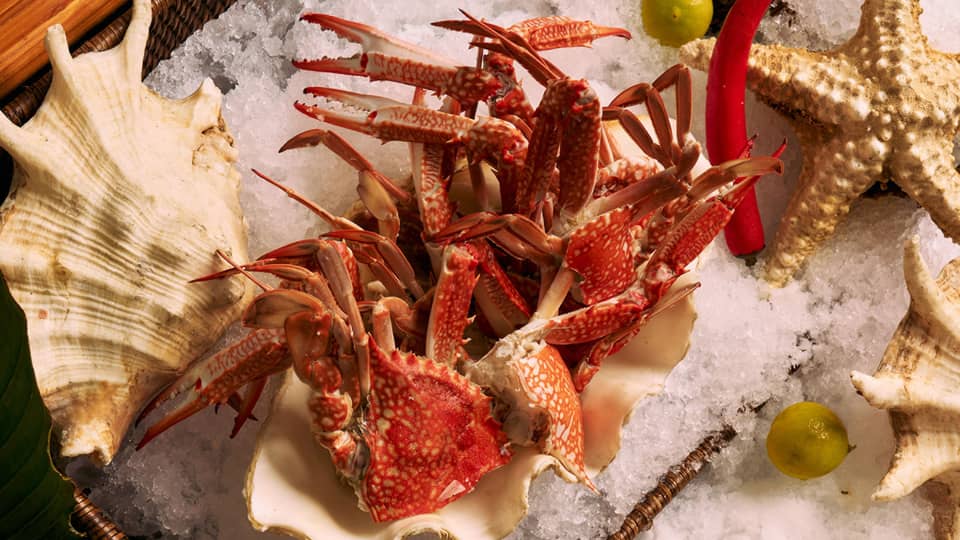 Assorted seafood on platters of ice