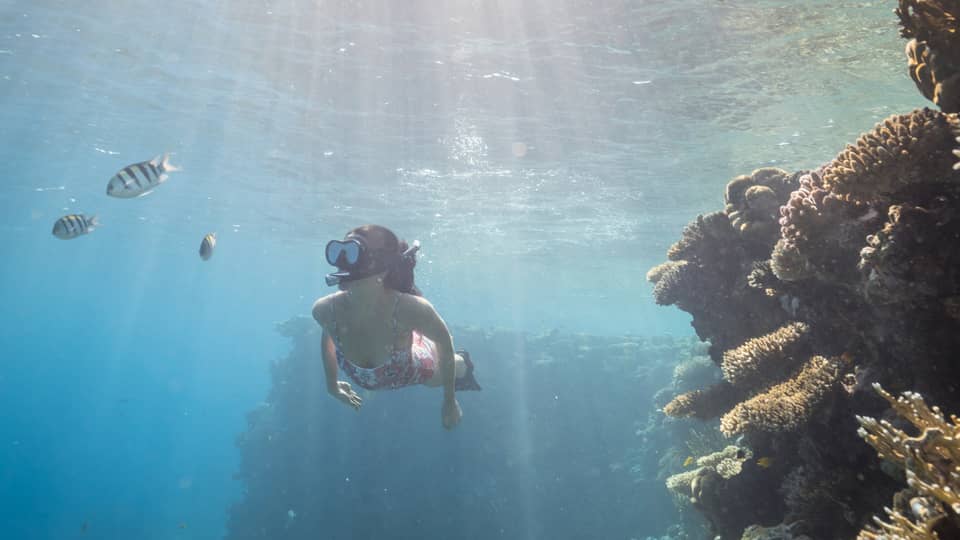 Woman in pink bathing suit snorkels among colourful fish and coral reefs, sunlight streaming through the water's surface
