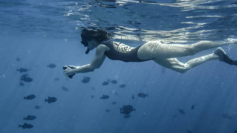 Snorkeler swimming under water with fish