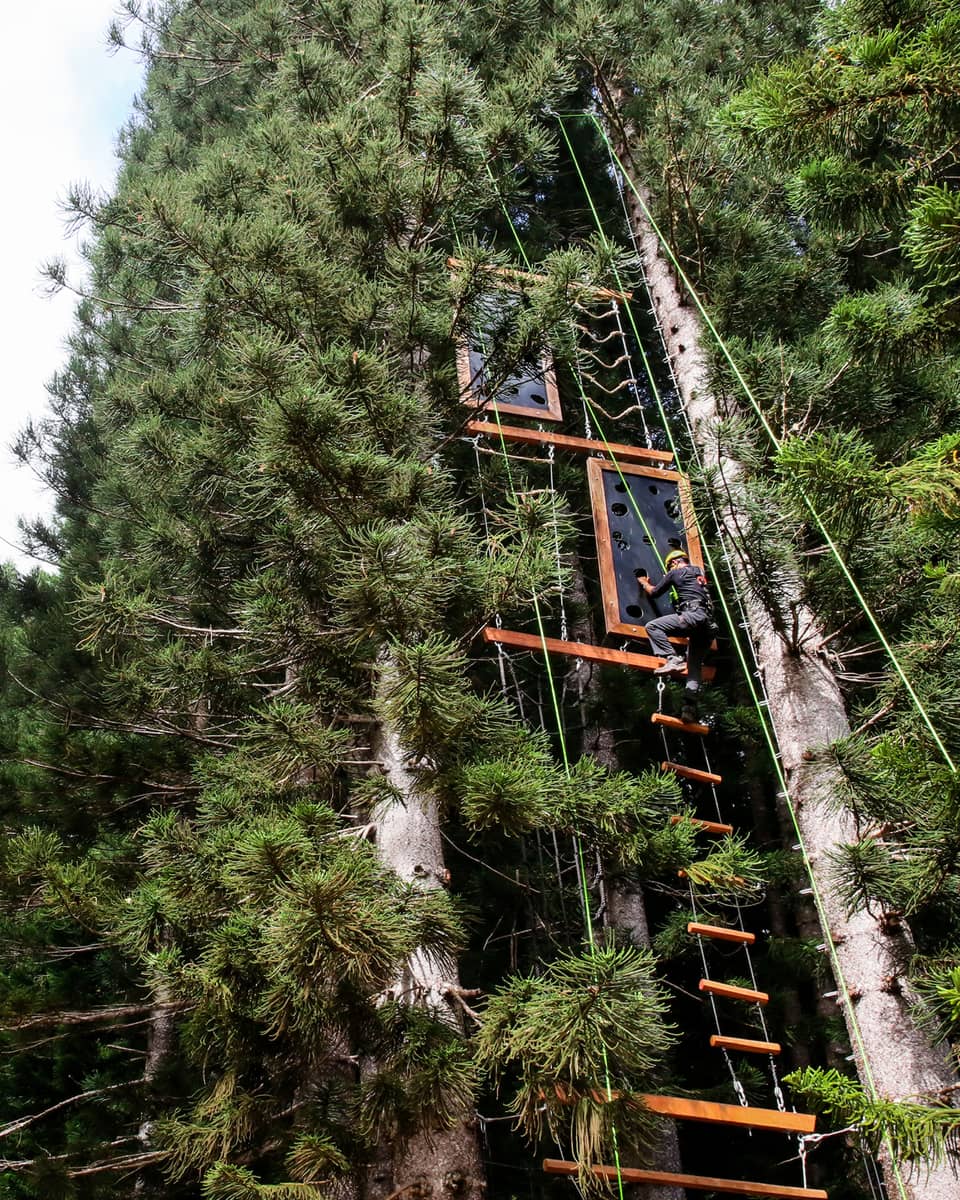 View from below of a climber gripping a plank by an open handhold on a vertical obstacle course in a dense pine forest.