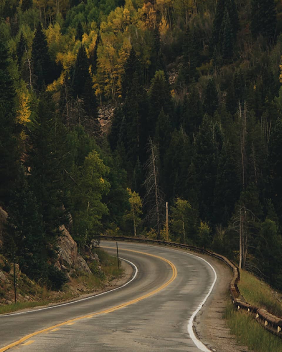 A road with woods of tall trees on both sides of it.