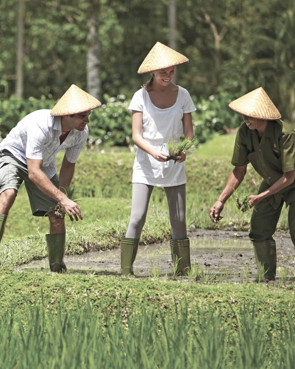 Man and woman in straw farmers hats kneel over garden, help gardener in rice paddie field