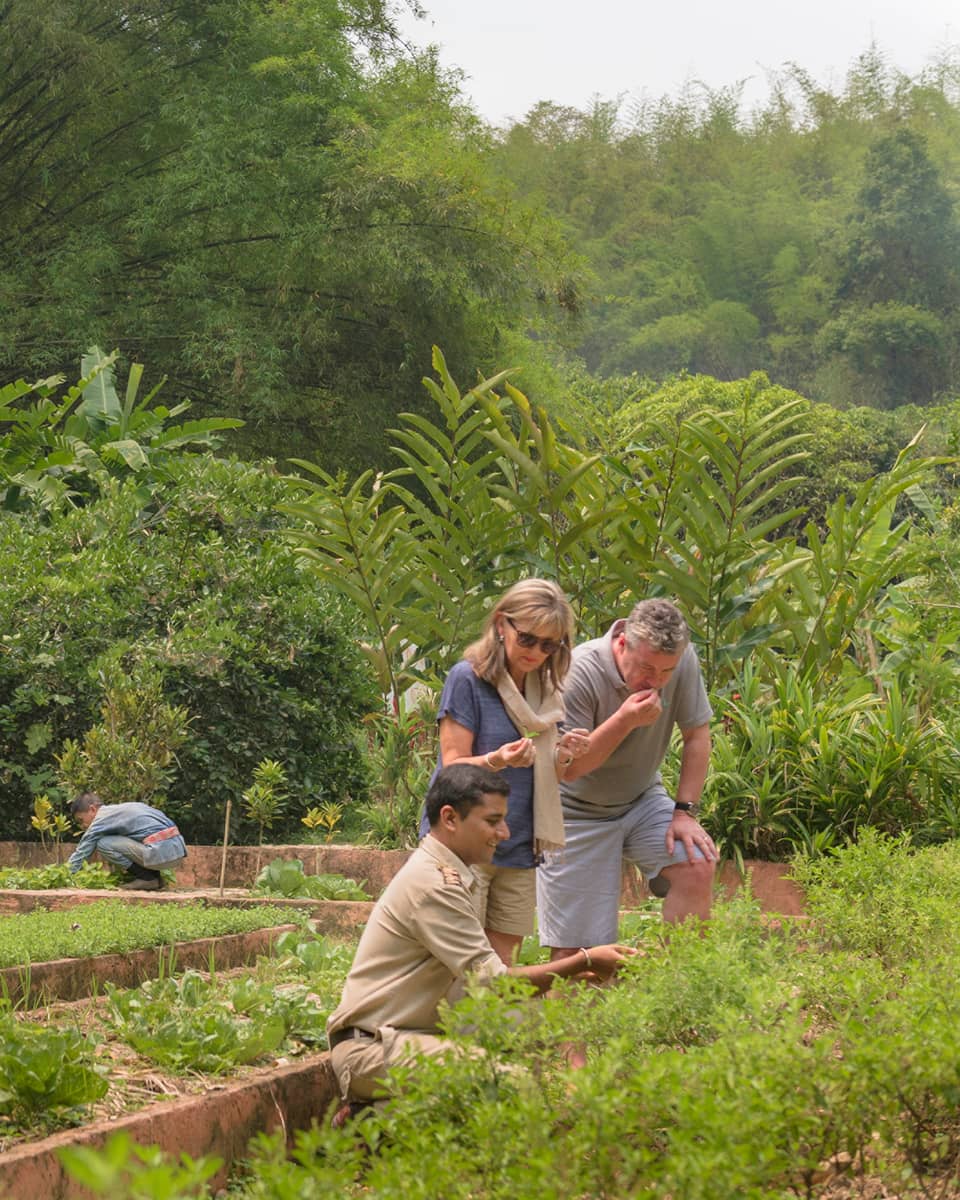 Couple learning about herbs and produce in a lush resort garden