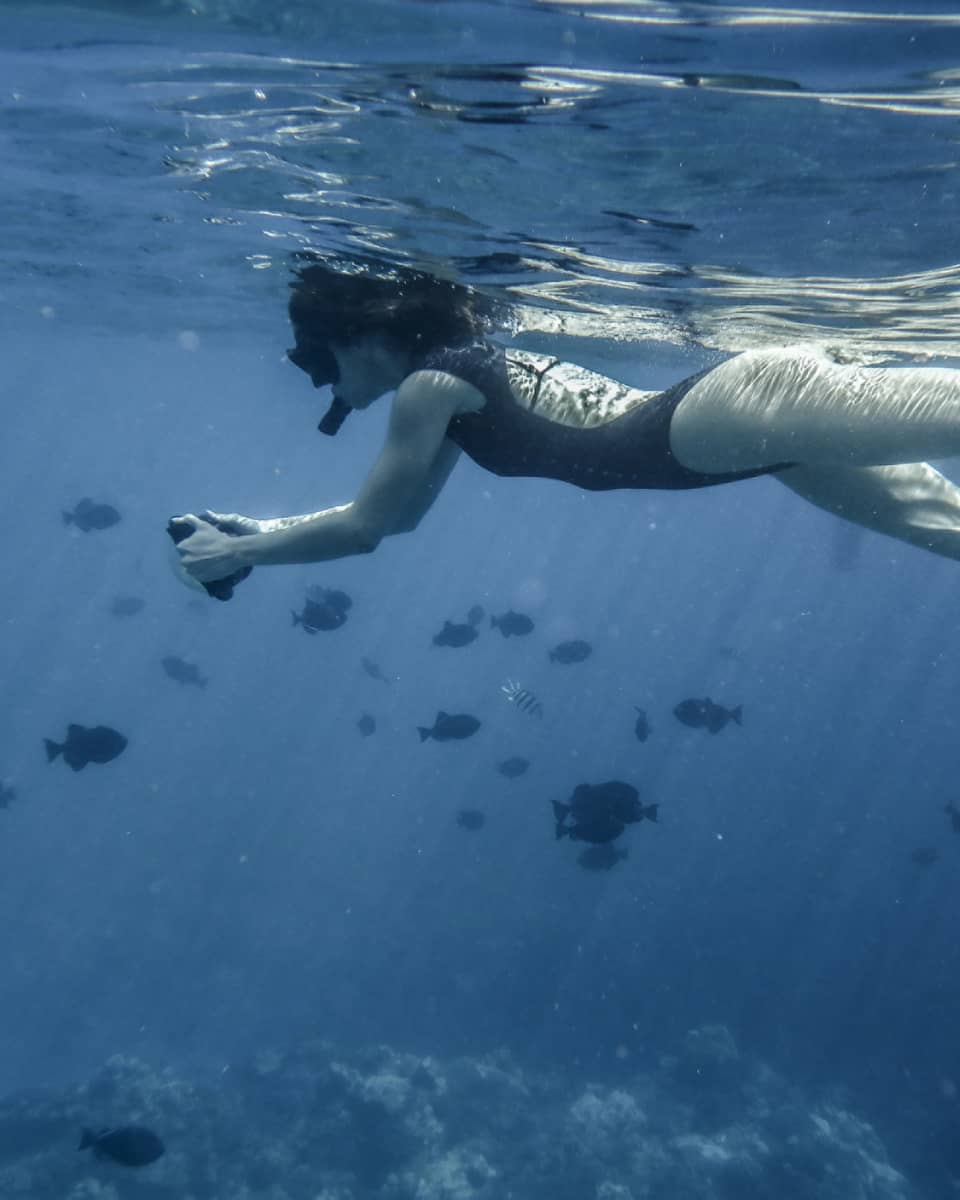 Snorkeler swimming under water with fish