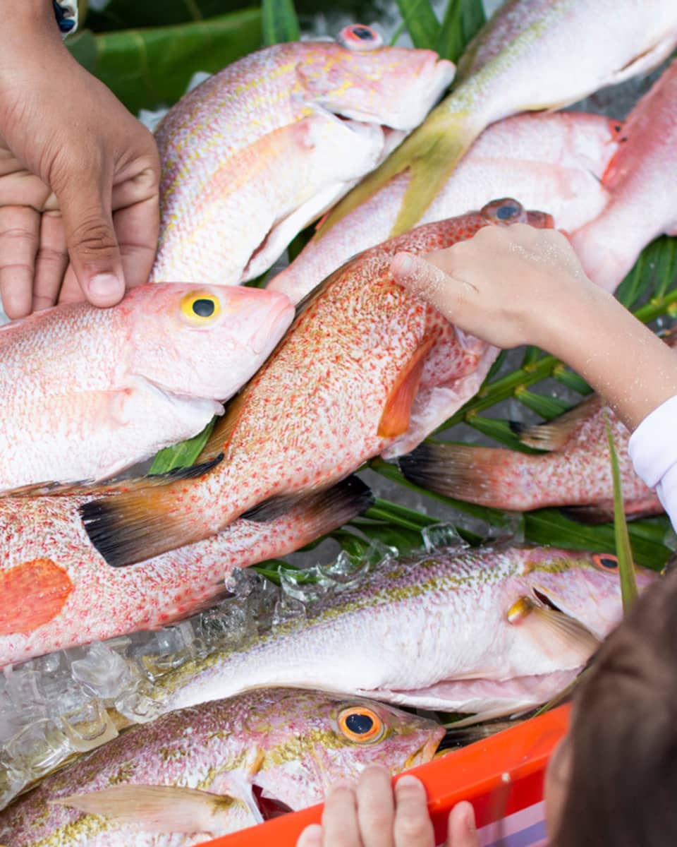 Hands reaching to select fresh fish displayed on ice, with lemons, oranges, limes and green leaves underneath