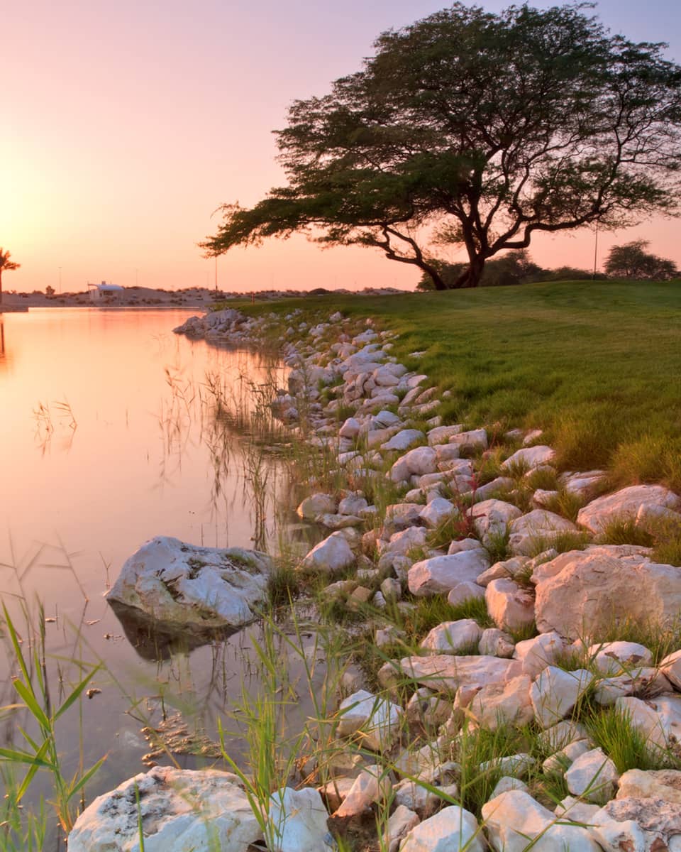 A rocky bank with several small trees lining it.