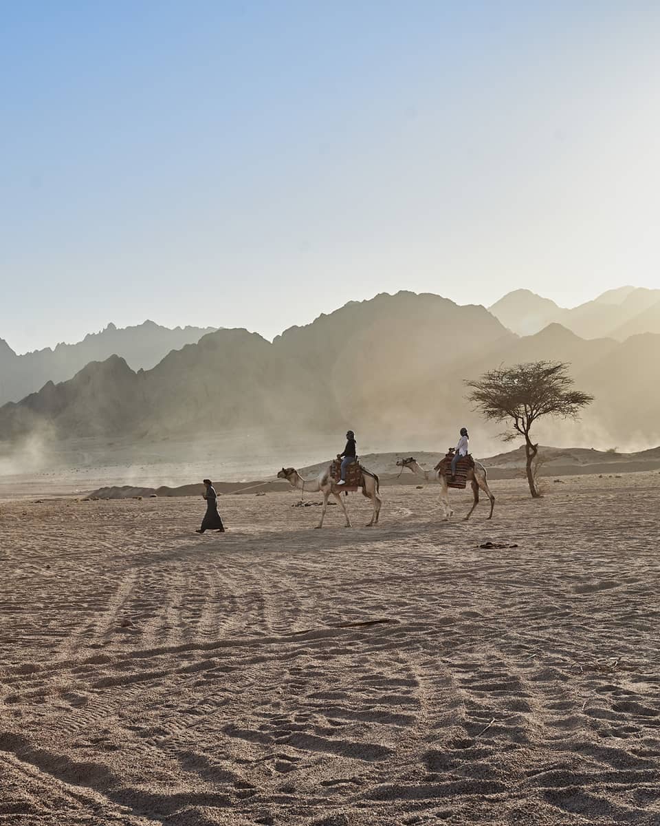 People riding a camel in the desert near resort