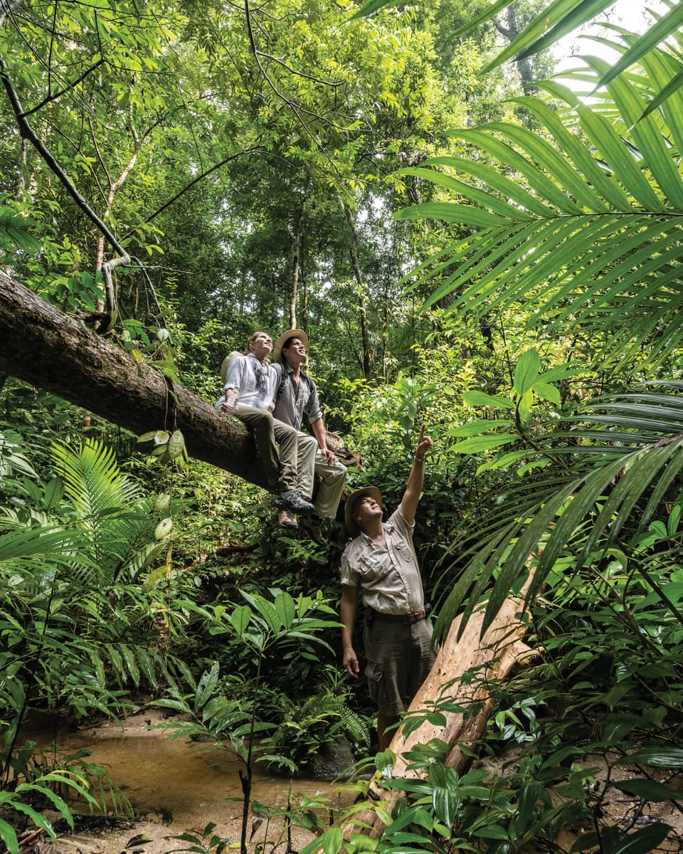 Couple sit on large downed tree in rainforest as nature guide points up