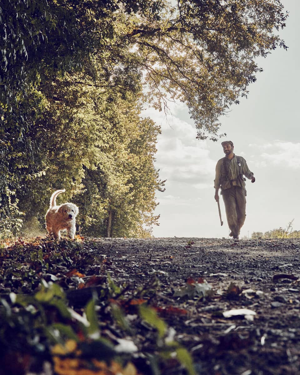 Man walks dog along tree-lined trail on country road 