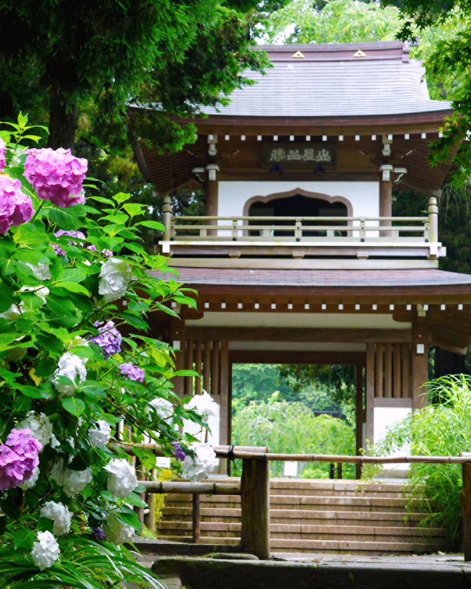 Wood temple entrance in garden by large bush with purple flowers